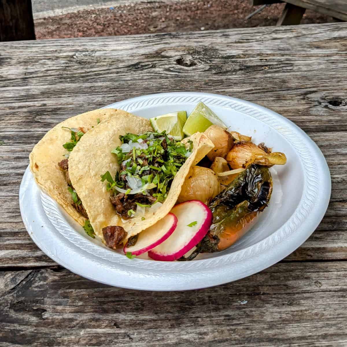Raleigh Taco Scene: Unveiling the Best Taco Spots in Town in 2024