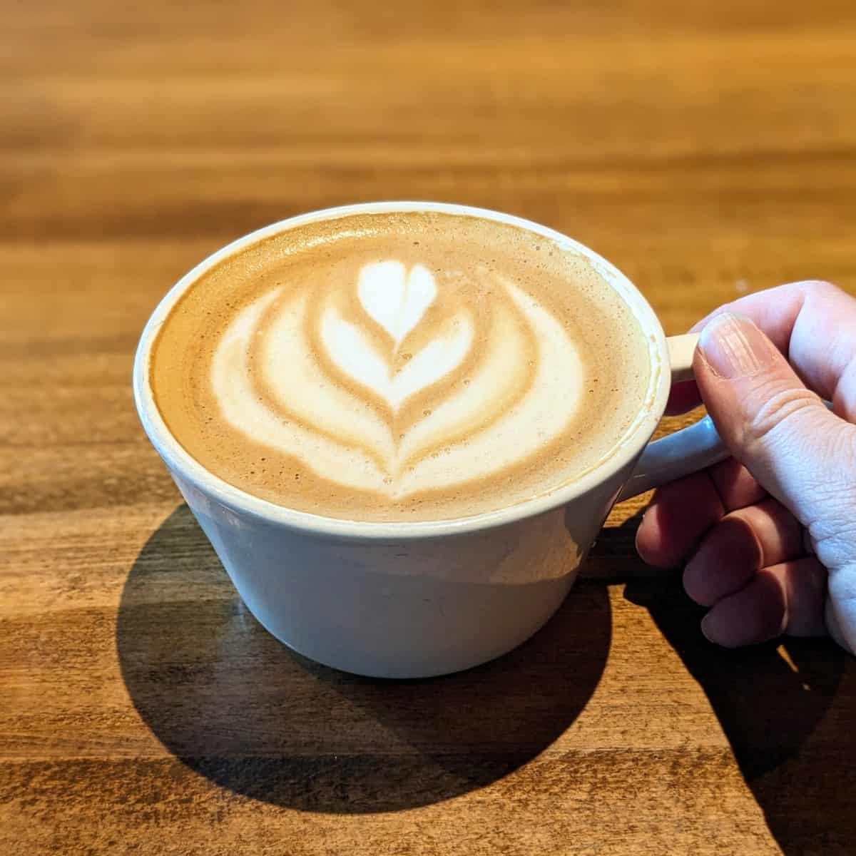 50+ Coffee Shops in Raleigh