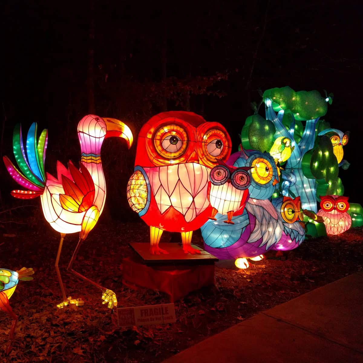 NC Chinese Lantern Festival