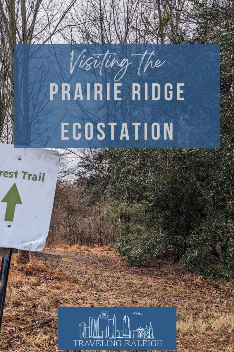 Save Post to Pinterest - Fun and Learning at Prairie Ridge Ecostation class=